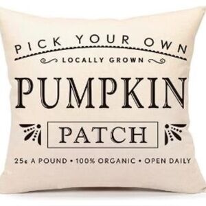 Hello Fall Pillow Covers ✨Set of 2✨